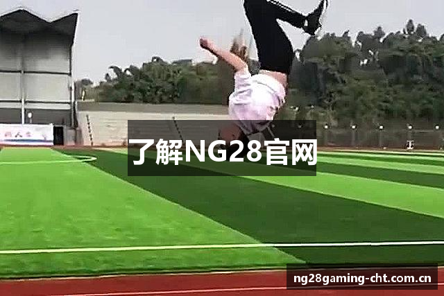 了解NG28官网